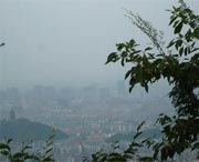 上虞天气预报40天